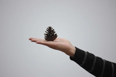 Close-up of hand holding pine cone against sky