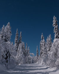 Low angle view of snow covered field against sky at night