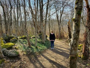 Rear view of man walking on footpath in forest