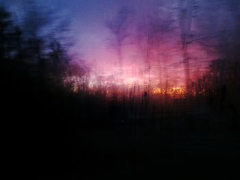 Silhouette trees against sky during sunset