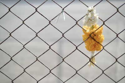 Floral garland hanging from chainlink fence