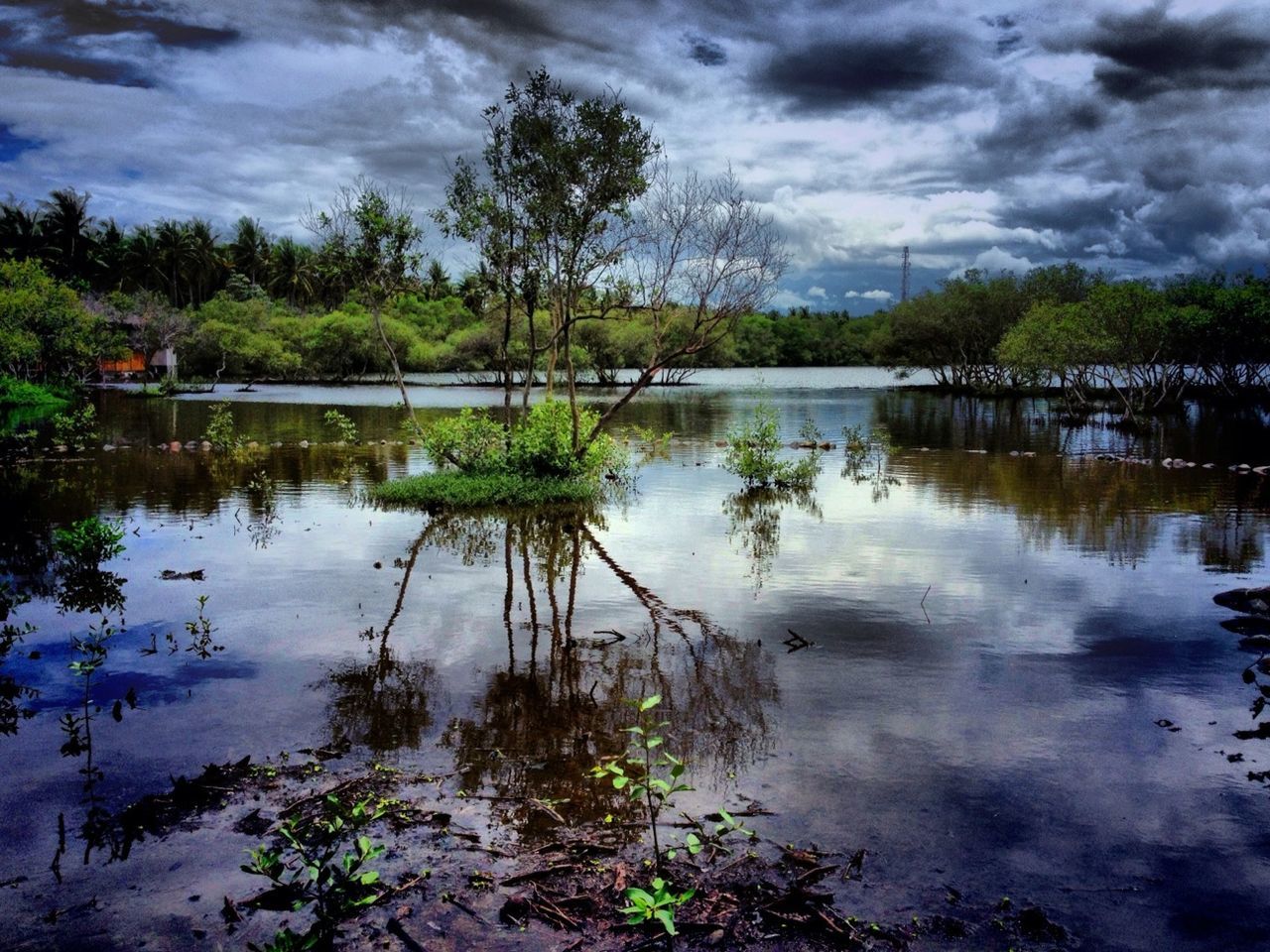 water, sky, reflection, lake, cloud - sky, tree, cloudy, tranquility, tranquil scene, cloud, scenics, beauty in nature, nature, calm, idyllic, standing water, growth, river, lakeshore, outdoors