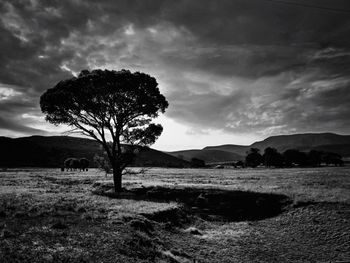 Scenic view of landscape against cloudy sky