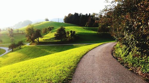 Road amidst field against clear sky