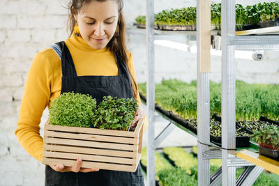 Woman urban indoor farmer with box of microgreen, small business vertical farm. close-up of healthy