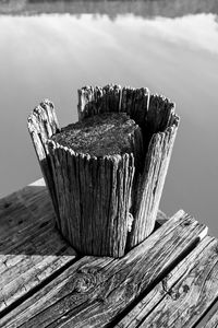 Close-up of wooden post on tree stump