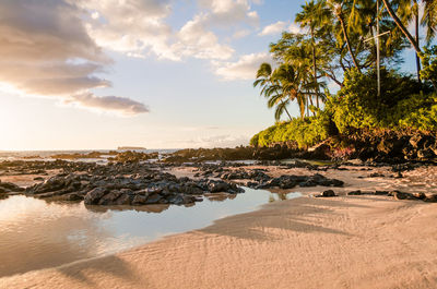 Scenic view of beach against sky during sunset