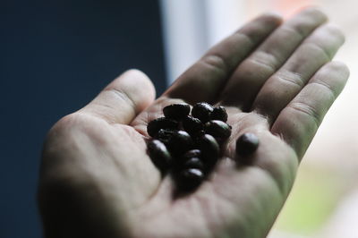 Close-up of hand holding bread