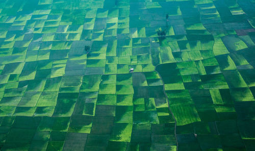 Green tiles 