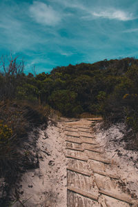 Plants growing on land against sky