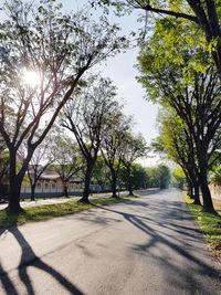 Road amidst trees against sky