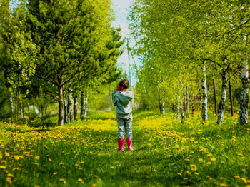 Full length rear view of man walking in forest