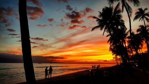 Silhouette palm trees on beach against sky during sunset