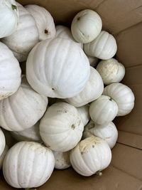 High angle view of onions for sale