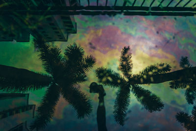 Low angle view of palm trees against sky