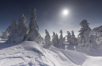 Scenic view of snow against sky in vladeasa mountains 