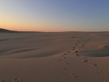Footprints on sandy beach