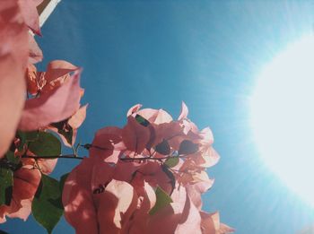 Low angle view of sky