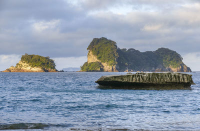 Coastal area named cathedral cove