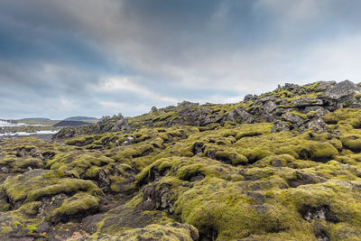 Scenic view of tree mountains against sky