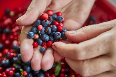 Cropped hand of woman holding blackberries