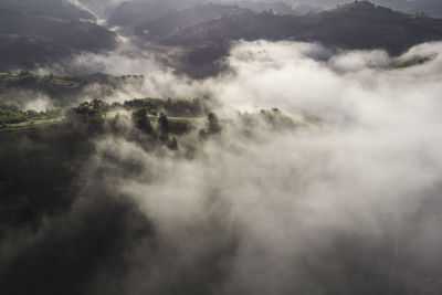 High angle view of trees on mountain against sky