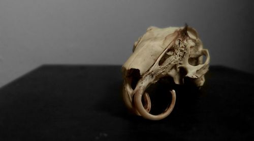 Close-up of object over black background