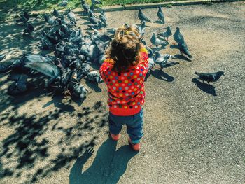 Rear view of girl by pigeons on road