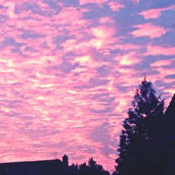 Low angle view of silhouette trees against cloudy sky