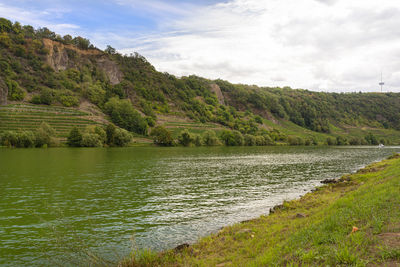 The moselle river in western germany near the mouth of the river in koblenz.
