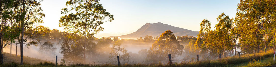 Panoramic shot of trees on mountains against sky