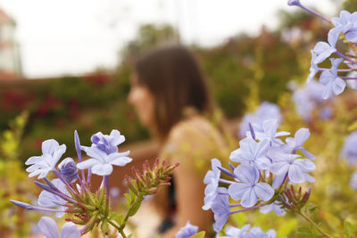 Close-up of purple flowering plants