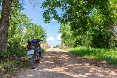 Bicycle on dirt road amidst trees