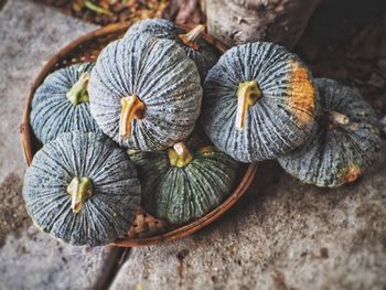 High angle view of pumpkins on table