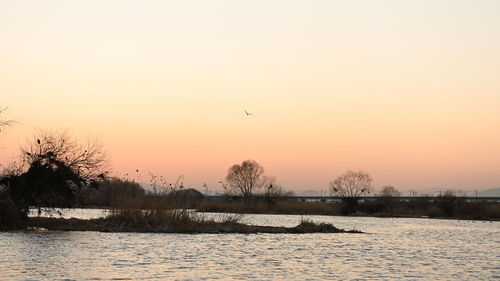 Birds flying over lake against sky during sunset