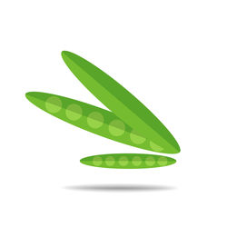 High angle view of green leaf on white background