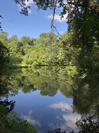 Reflection of trees in lake against sky