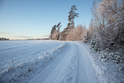 A beautiful winter day landscape of a gravel road near the forest. snow covered scenery.