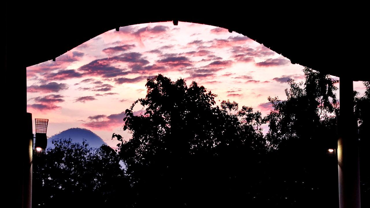 sky, silhouette, tree, nature, plant, cloud, no people, darkness, sunset, night, outdoors, beauty in nature, architecture, reflection, astronomical object, tranquility