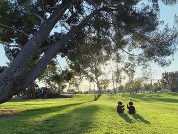 Rear view of siblings playing while sitting on grass in park