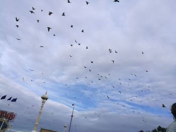 Low angle view of birds flying in sky