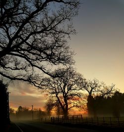 Silhouette bare tree against sky during sunset