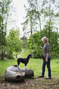 Dog standing on log in front of senior woman at field