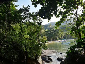 Scenic view of river in forest against sky