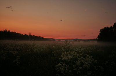 Scenic view of field against sky during sunset