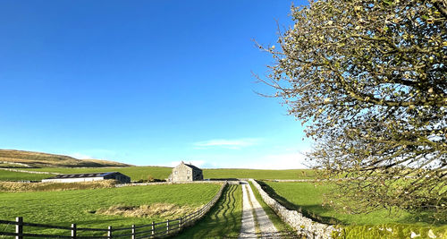 Remote farm, on the hills, set against a blue sky near, stainforth, settle, uk