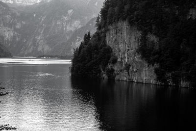 Scenic view of lake in forest