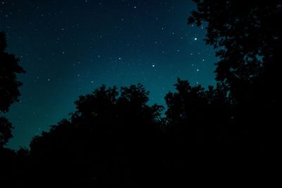 Low angle view of star field against star field