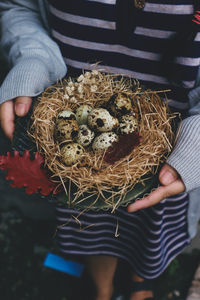 Midsection of person holding eggs in basket
