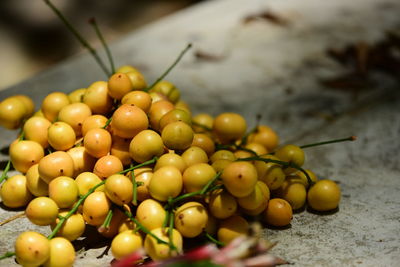 Close-up of fruits